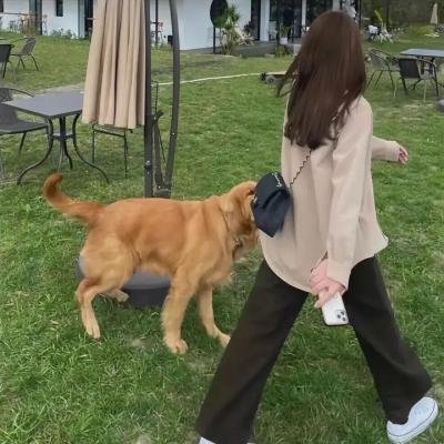 狐妖小红娘·月红篇